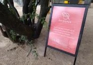 Berkenye Kávézó Budapest