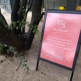 Berkenye Kávézó Budapest - Egyéb