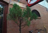 Bérkocsi Söröző Budapest