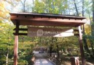 Bertényi Miklós Füvészkert Visegrád