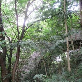 Biatorbágyi Viadukt Biatorbágy - Egyéb