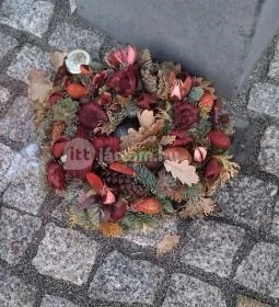 Bibó István mellszobra