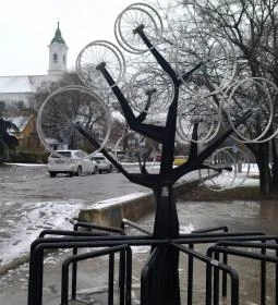 18. legjobb látnivaló: Bicikli fa