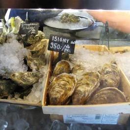 Bigfish Lánchíd Budapest - Egyéb