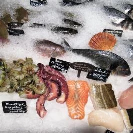 Bigfish Lánchíd Budapest - Egyéb