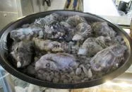 Bigfish Lánchíd Budapest