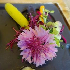 BIGinning Budapest - Étel/ital