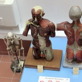 Biológiai és Paleontológiai Gyűjtemény Budapest - Egyéb