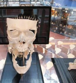 Biológiai és Paleontológiai Gyűjtemény