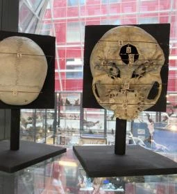 Biológiai és Paleontológiai Gyűjtemény