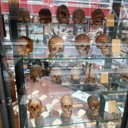 Biológiai és Paleontológiai Gyűjtemény Budapest - Egyéb