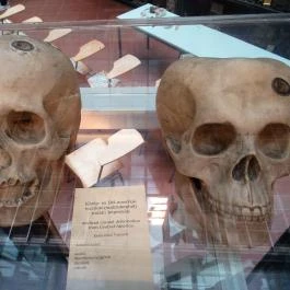 Biológiai és Paleontológiai Gyűjtemény Budapest - Egyéb