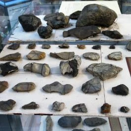 Biológiai és Paleontológiai Gyűjtemény Budapest - Egyéb