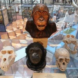 Biológiai és Paleontológiai Gyűjtemény Budapest - Egyéb