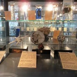 Biológiai és Paleontológiai Gyűjtemény Budapest - Egyéb