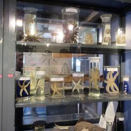 Biológiai és Paleontológiai Gyűjtemény Budapest - Egyéb