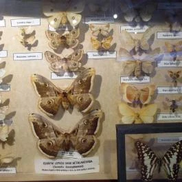 Biológiai és Paleontológiai Gyűjtemény Budapest - Egyéb