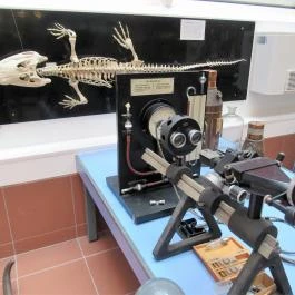 Biológiai és Paleontológiai Gyűjtemény Budapest - Egyéb