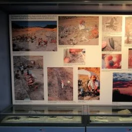 Biológiai és Paleontológiai Gyűjtemény Budapest - Egyéb