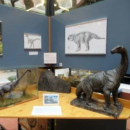 Biológiai és Paleontológiai Gyűjtemény Budapest - Egyéb