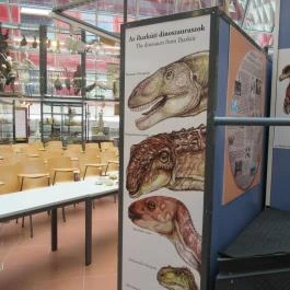 Biológiai és Paleontológiai Gyűjtemény Budapest - Egyéb