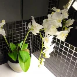 Bistro Fine Budapest - Mosdó