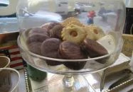 Bisztrónyúl Budapest