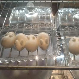 Biu! Tea Budapest - Étel/ital