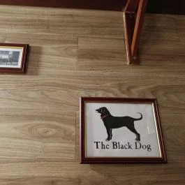 Black Dog Pub - Lágymányosi utca Budapest - Belső