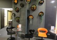 Black & Orange Bár Zamárdi