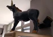 Black Unicorn Caffe Budapest