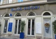 Blue Agori - Greek Street Food Bar - Hercegprímás utca Budapest