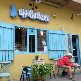 Blue Bird Roastery Kávéház Budapest - Külső kép