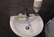 Blueberry Brunch Budapest