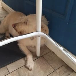 Bob's Kitchen Budapest - Egyéb