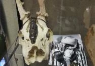 Boho Lama Concept Store & Bistro Budapest