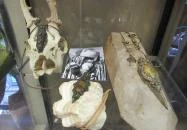 Boho Lama Concept Store & Bistro Budapest