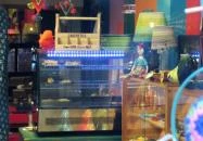 Boho Lama Concept Store & Bistro Budapest