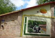 Bókay Kert Budapest