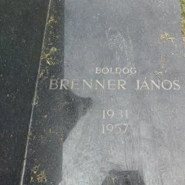 Boldog Brenner János Budapest - Egyéb