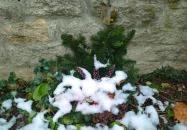 Boldog Vácz Remete Vác