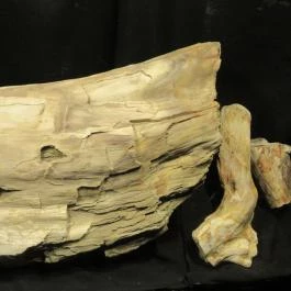 Boldogkői vár Boldogkőváralja - Egyéb