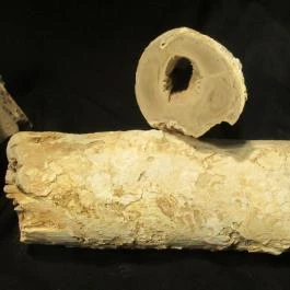 Boldogkői vár Boldogkőváralja - Egyéb