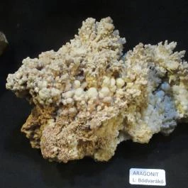 Boldogkői vár Boldogkőváralja - Egyéb