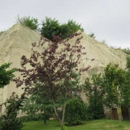 Bolyki Pincészet Eger - Egyéb