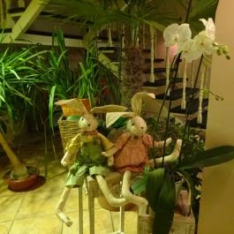 Bonne Chance Hotel Bázakerettye - Belső