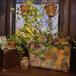 Bookta Budapest - Egyéb