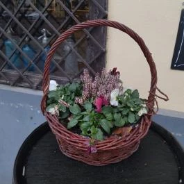 Bor-Piac Nagymaros - Egyéb