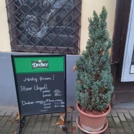 Bor-Piac Nagymaros - Étlap/itallap