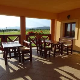 Borhotel Sziluett Farkasmály Gyöngyös - Medence/kert